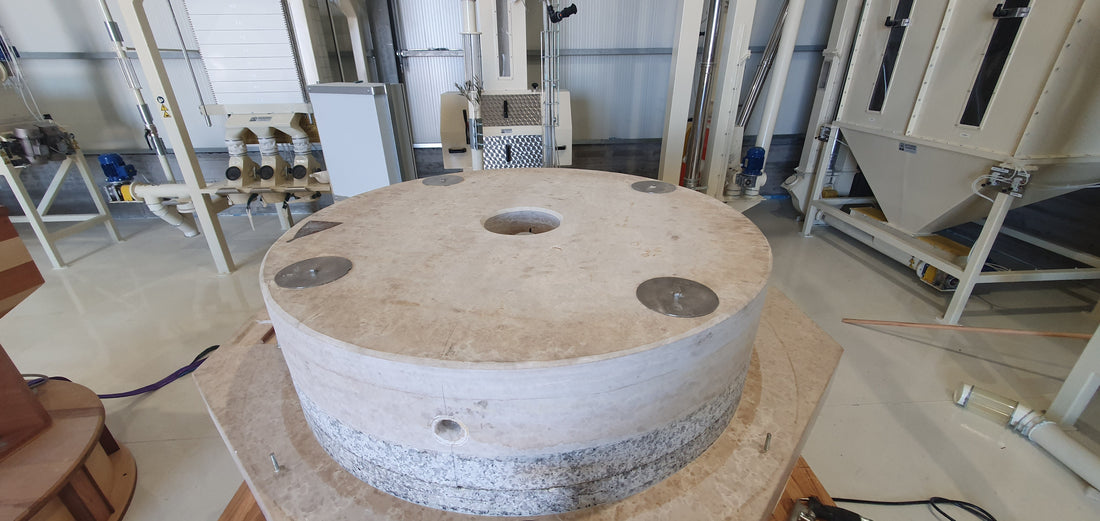 Giugno 2022 - Preparare il grano per la Molitura a Pietra