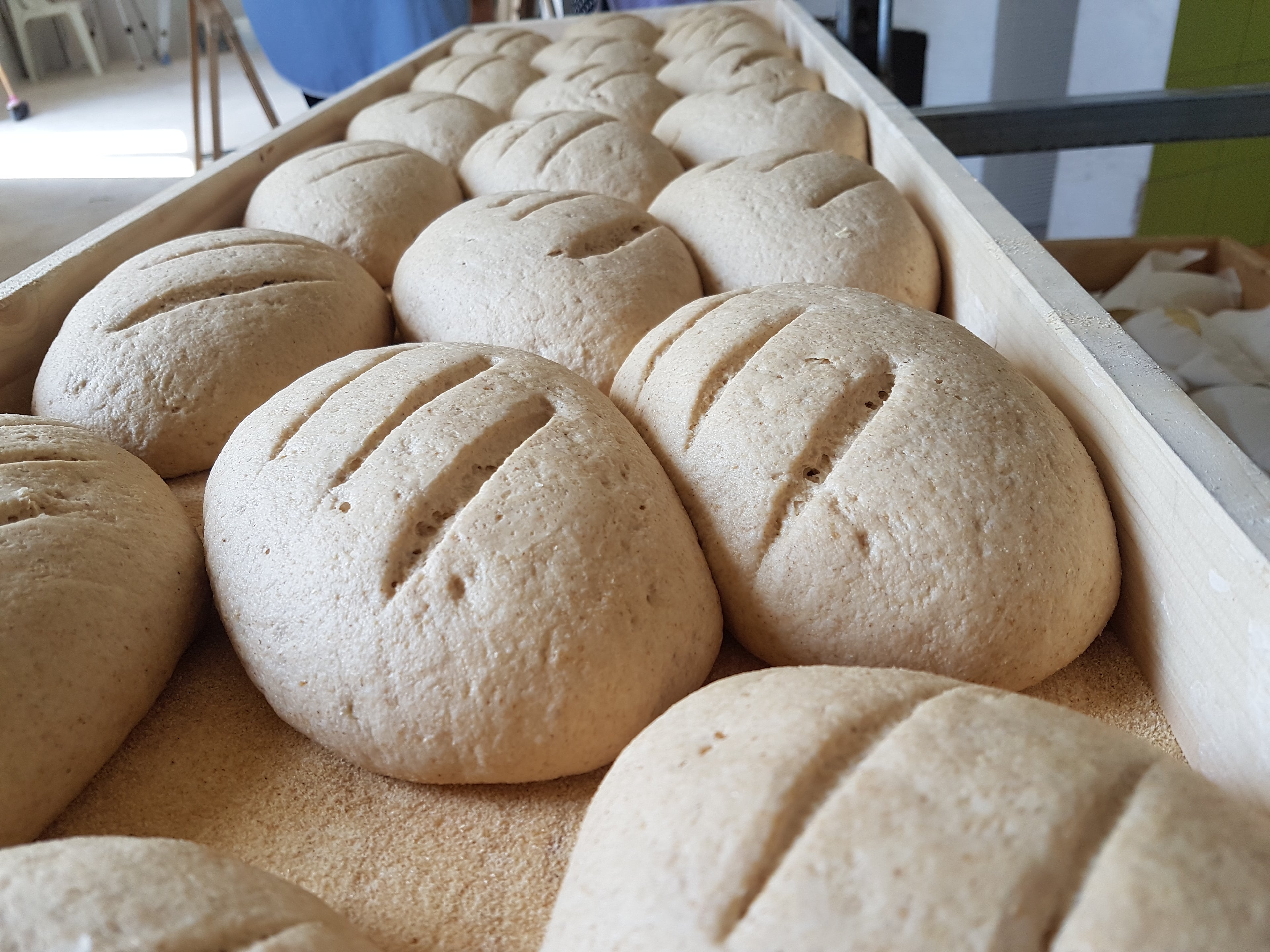 Pane Casereccio - Farro