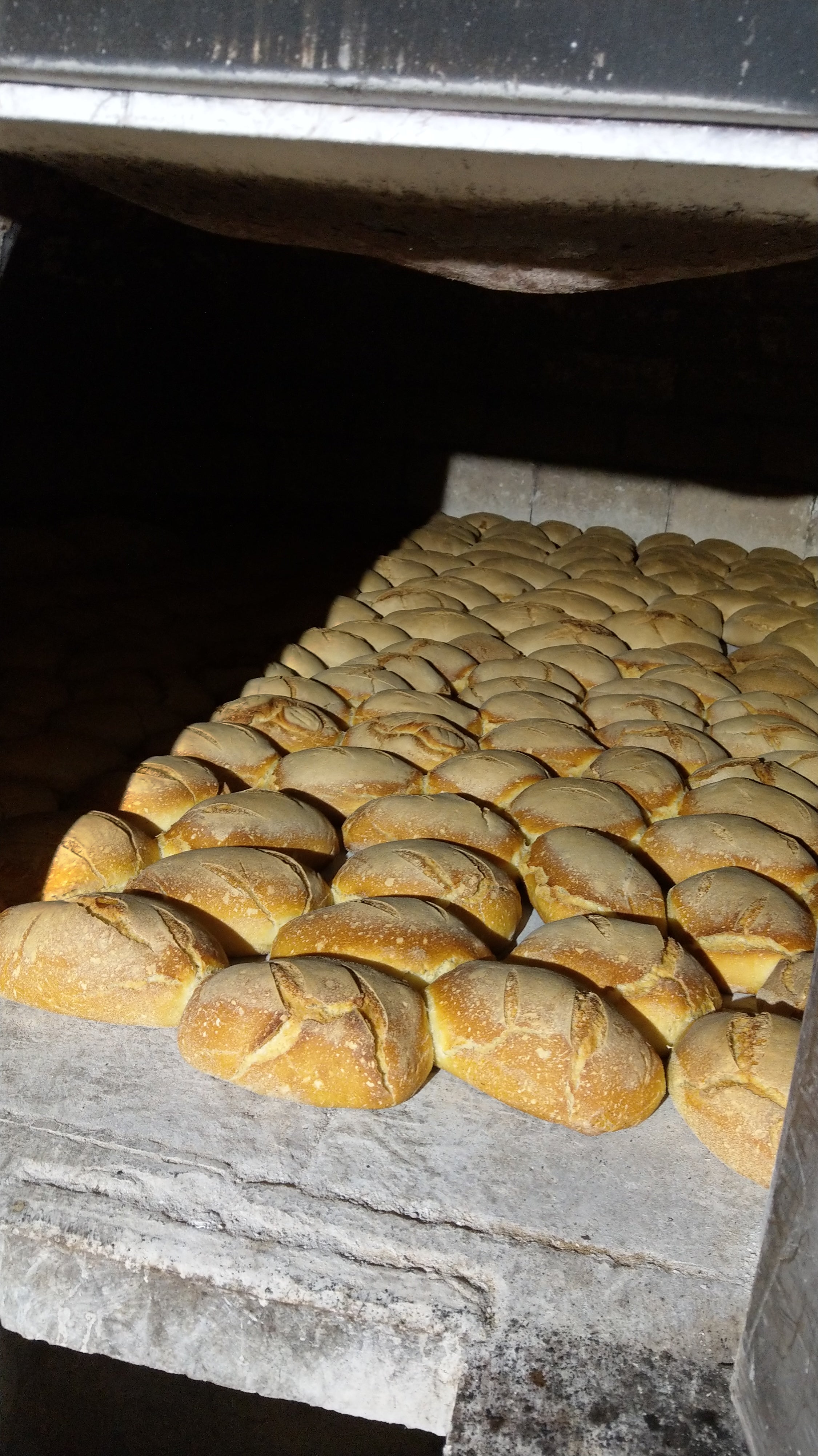 Pane Casereccio - Grano Duro